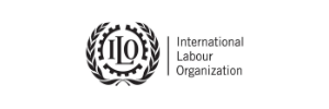 International Labour Organization